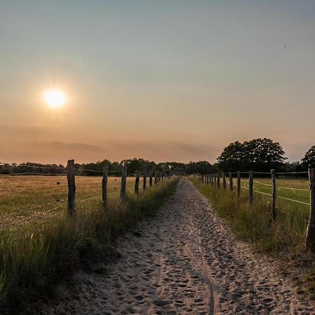 Ostsee Domizil Graal-Mueritz Eksteriør billede